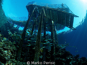 THE JETTY by Marko Perisic 